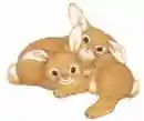 cute