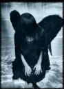 Dark Angel