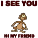 Hi Monkey