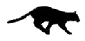 BlackCatRun