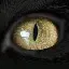 Cat'sEye