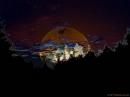 ForestMoon