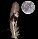 LoneWolf