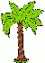 Tropical Tree