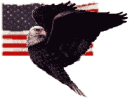 American Flag and Eagle