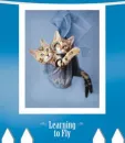 learning to fly