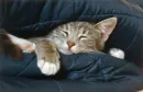 between pillows