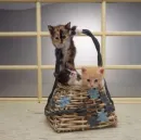 cuteee