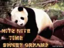 nite greeting