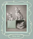box set