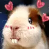 lovely bunny