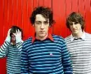 The wombats