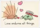 love endures all things