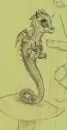 Baby Dragon Sketch