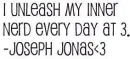 Joe Jonas 