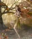 The Sunset Fairy