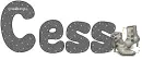 Cess