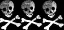 3 skulls
