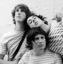 the wombats