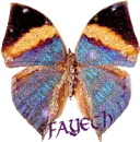 multicolored butterfly for Fayeth