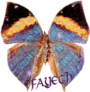 butterfly flying with Fayeth