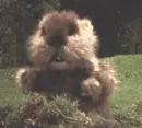 gopher from caddyshack