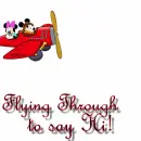 flying through to say hi