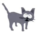 south park cat