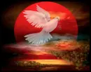 DOVE