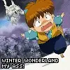 shippo winter