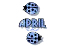 blue traveling ladybugs april