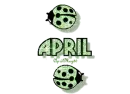 green traveling ladybugs april