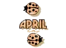 orange traveling ladybugs april