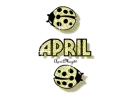 yellow traveling ladybugs april