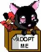 Mew Zoey Cat