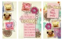 Thank you Noheli