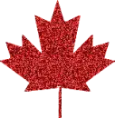 MAPLE LEAF