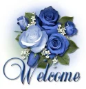welcome rose