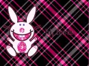 happy bunny