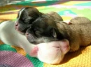 nap time