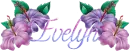 Evelyn