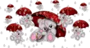 raining bears