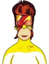 HOMER