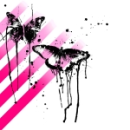 butterflies