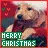 merry chirstmas~