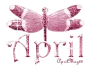 pink dragonfly april