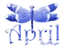blue dragonfly april