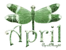 green dragonfly april