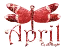 red dragonfly april