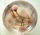 flower in crystal ball